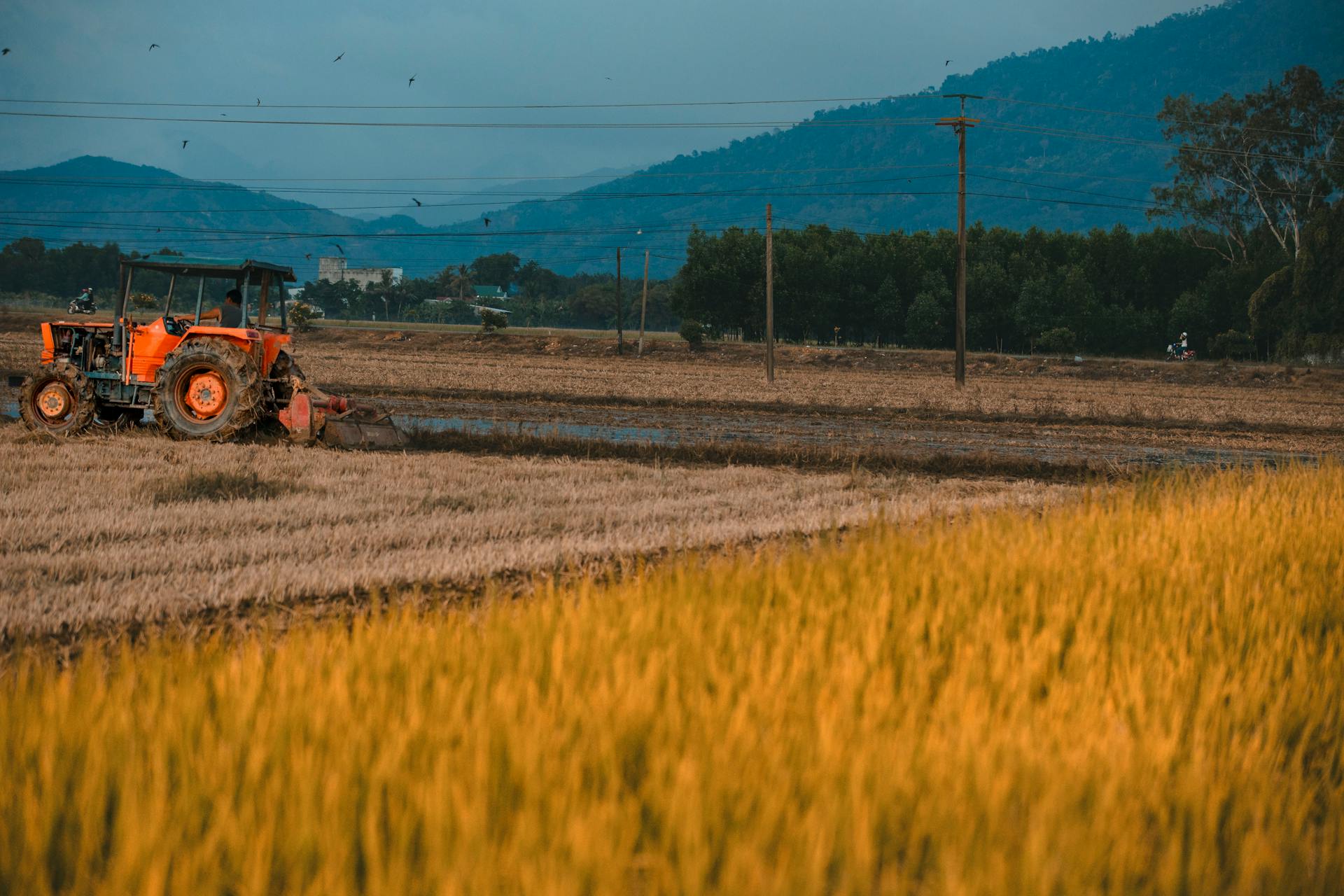 Heavy-duty tillage equipment rotavator and cultivator for soil preparation in India